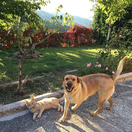 Monte Alago Apartment *