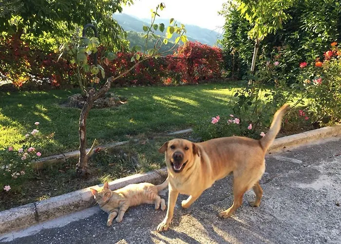 Monte Alago Apartmán *